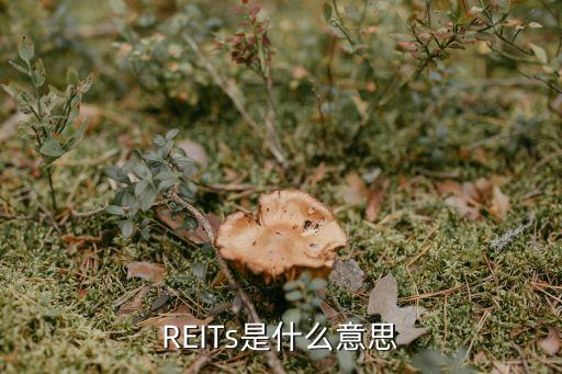 REITs是什么意思