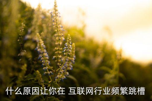 什么原因讓你在 互聯(lián)網(wǎng)行業(yè)頻繁跳槽