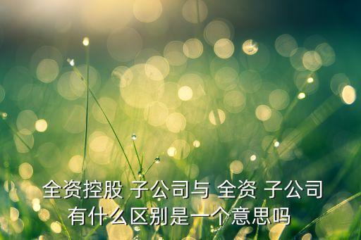  全資控股 子公司與 全資 子公司有什么區(qū)別是一個意思嗎