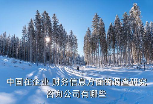 中國在企業(yè) 財(cái)務(wù)信息方面的調(diào)查研究咨詢公司有哪些