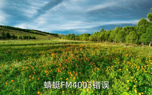  蜻蜓FM4003錯(cuò)誤