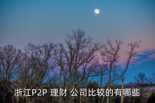 浙江P2P 理財 公司比較的有哪些