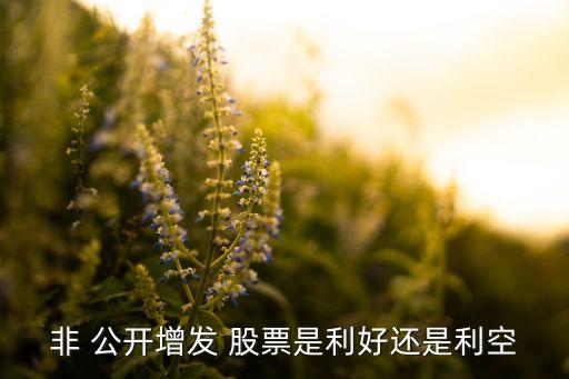 非 公開(kāi)增發(fā) 股票是利好還是利空