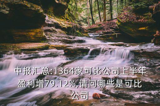 中報(bào)匯總:1364家可比公司上半年盈利增79.12%,請問哪些是可比公司