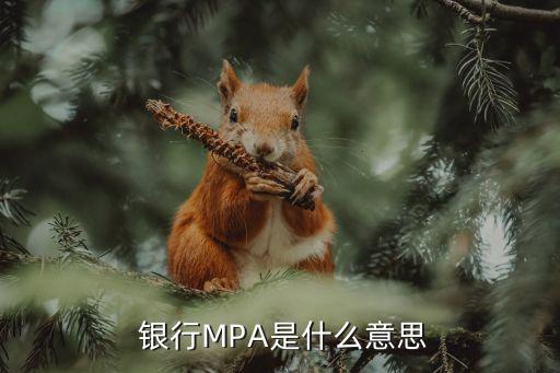  銀行MPA是什么意思