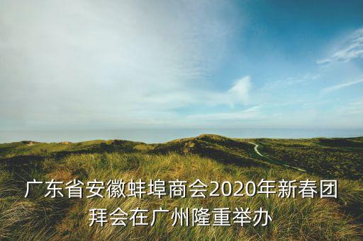 廣東省安徽蚌埠商會2020年新春團拜會在廣州隆重舉辦