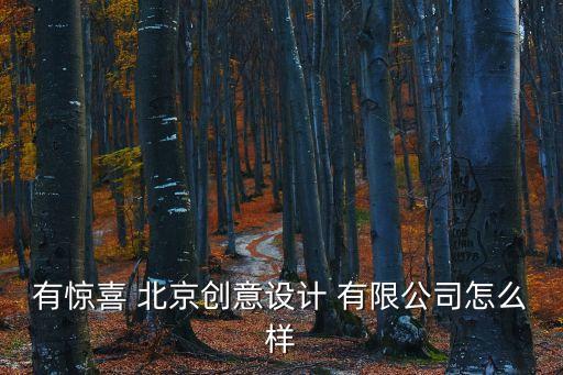 北京瑞增國際文化有限公司,華東方國際文化(北京)有限公司