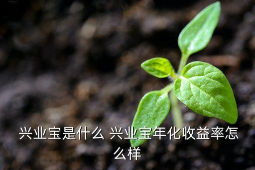  興業(yè)寶是什么 興業(yè)寶年化收益率怎么樣