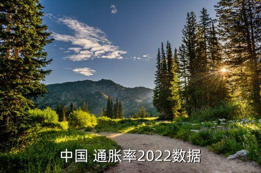 中國(guó) 通脹率2022數(shù)據(jù)