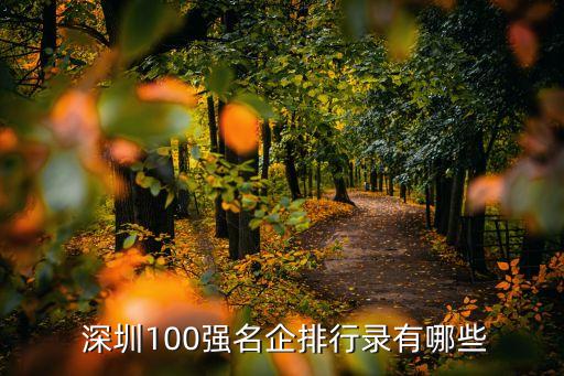  深圳100強(qiáng)名企排行錄有哪些