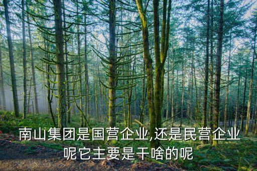  南山集團(tuán)是國(guó)營(yíng)企業(yè),還是民營(yíng)企業(yè)呢它主要是干啥的呢