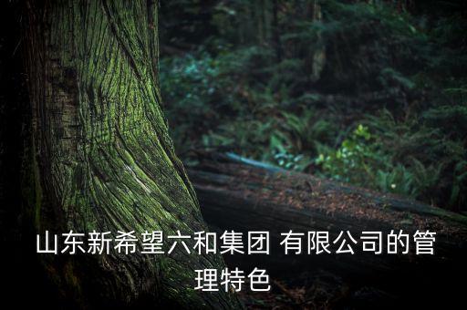  山東新希望六和集團 有限公司的管理特色