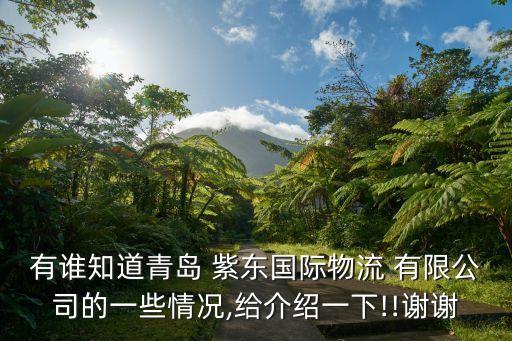 有誰知道青島 紫東國際物流 有限公司的一些情況,給介紹一下!!謝謝