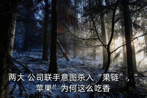 兩大 公司聯(lián)手意圖殺入“果鏈”,“蘋果”為何這么吃香