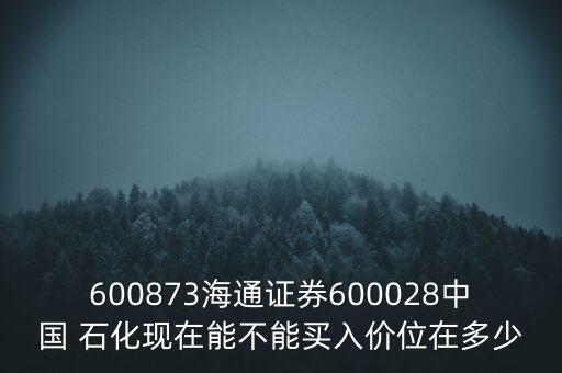 600873海通證券600028中國(guó) 石化現(xiàn)在能不能買入價(jià)位在多少