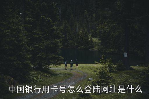  中國銀行用卡號怎么登陸網(wǎng)址是什么