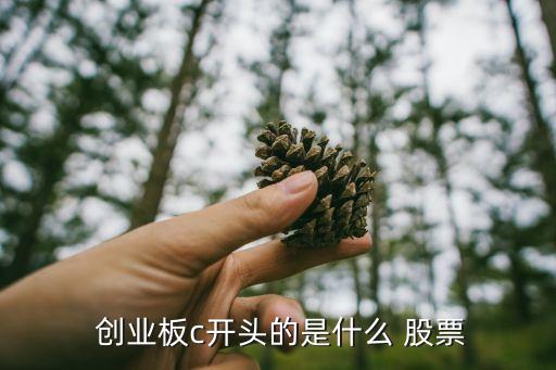  創(chuàng)業(yè)板c開(kāi)頭的是什么 股票