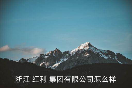 浙江 紅利 集團(tuán)有限公司怎么樣