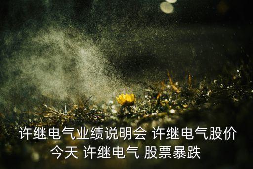  許繼電氣業(yè)績說明會 許繼電氣股價今天 許繼電氣 股票暴跌