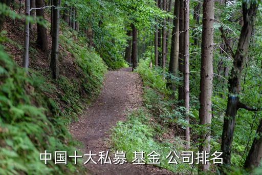 中國(guó)十大私募 基金 公司排名