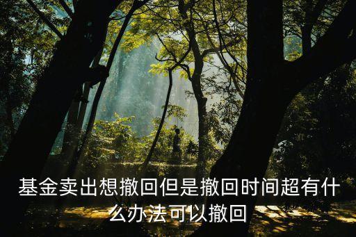  基金賣出想撤回但是撤回時(shí)間超有什么辦法可以撤回