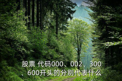  股票 代碼000、002、300、600開頭的分別代表什么