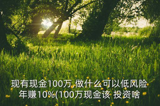 現(xiàn)有現(xiàn)金100萬,做什么可以低風(fēng)險(xiǎn)年賺10%(100萬現(xiàn)金該 投資啥