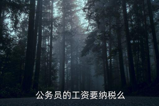  公務(wù)員的工資要納稅么