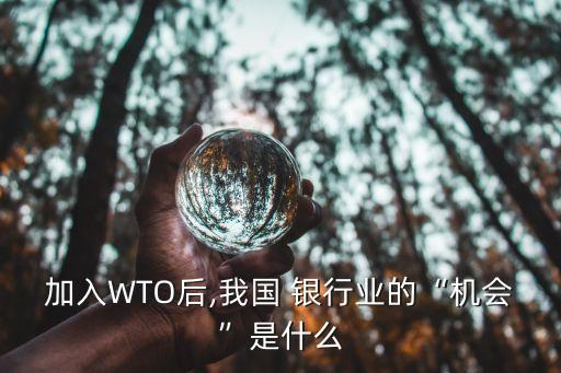 加入WTO后,我國(guó) 銀行業(yè)的“機(jī)會(huì)”是什么