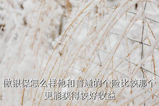 做銀行保險(xiǎn)的收入,銀行保險(xiǎn)業(yè)務(wù)員好做嗎