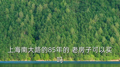 上海南大路的85年的 老房子可以買嗎