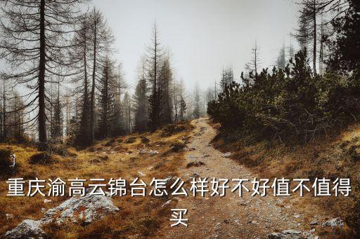 重慶渝高云錦臺(tái)怎么樣好不好值不值得買