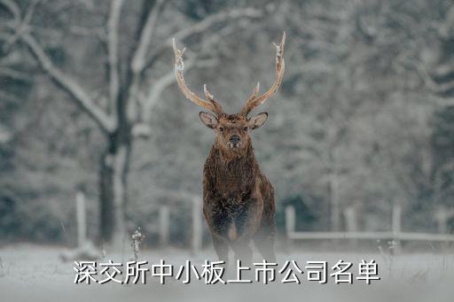 深交所中小板上市公司名單