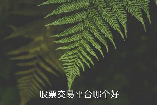  股票交易平臺(tái)哪個(gè)好