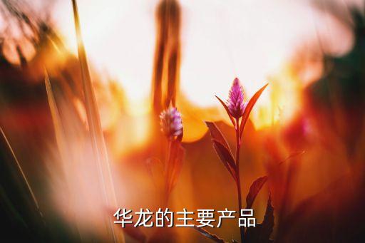 咸陽華龍企業(yè)集團(tuán)公司,華龍集團(tuán)公司是什么樣的