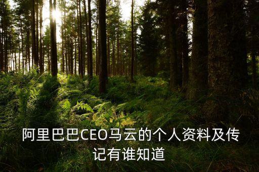  阿里巴巴CEO馬云的個(gè)人資料及傳記有誰知道