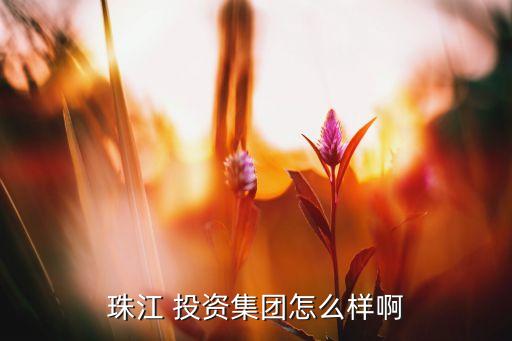 珠江 投資集團怎么樣啊