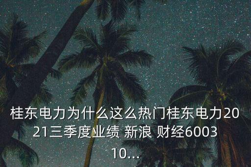 桂東電力為什么這么熱門桂東電力2021三季度業(yè)績(jī) 新浪 財(cái)經(jīng)600310...