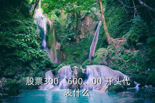  股票300、600、00 開頭代表什么