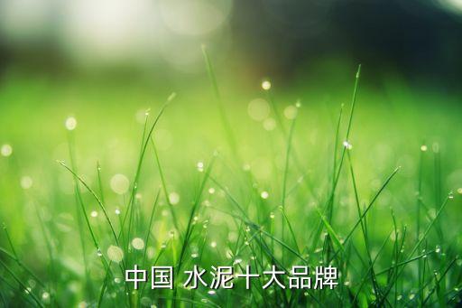 天瑞集團(tuán)水泥有限公司股東,中國天瑞集團(tuán)水泥有限公司