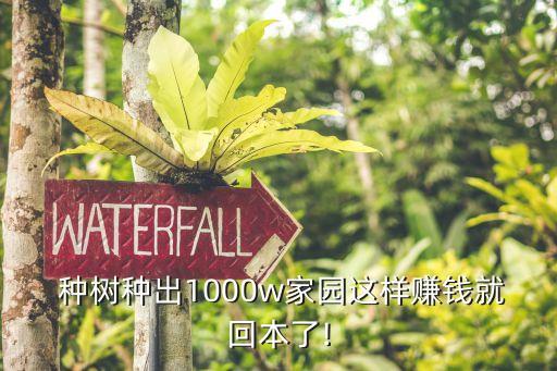  種樹種出1000w家園這樣賺錢就回本了!