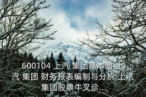 600104 上汽 集團(tuán)基本面 上汽 集團(tuán) 財(cái)務(wù)報(bào)表編制與分析 上汽 集團(tuán)股票牛叉診...