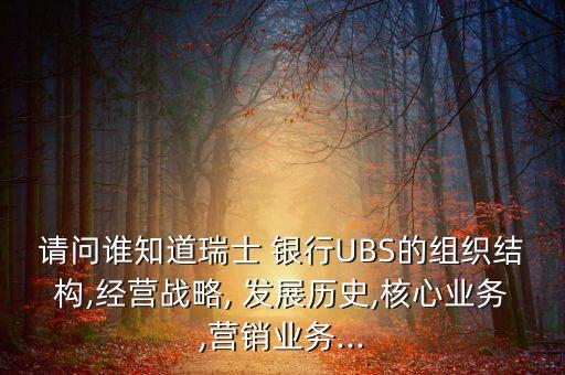 請(qǐng)問誰(shuí)知道瑞士 銀行UBS的組織結(jié)構(gòu),經(jīng)營(yíng)戰(zhàn)略, 發(fā)展歷史,核心業(yè)務(wù),營(yíng)銷業(yè)務(wù)...