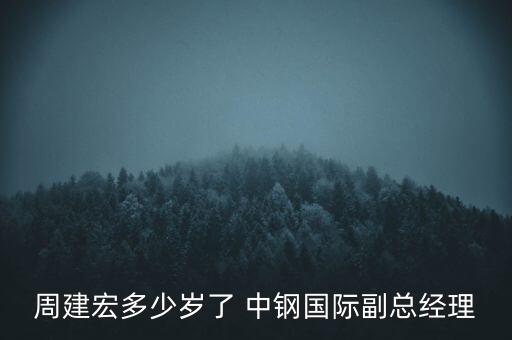 周建宏多少歲了 中鋼國際副總經(jīng)理