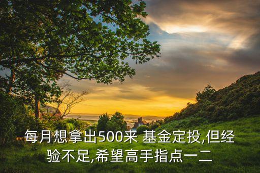 每月想拿出500來 基金定投,但經(jīng)驗不足,希望高手指點一二