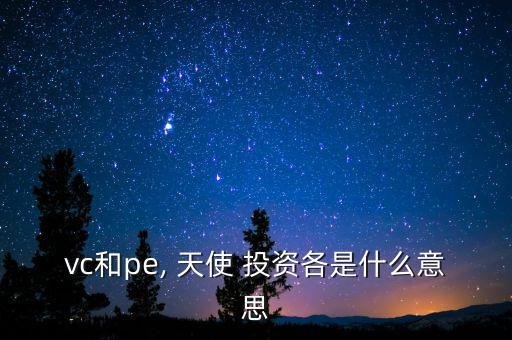 vc和pe, 天使 投資各是什么意思