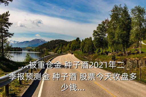 ...被重倉(cāng)金 種子酒2021年二季報(bào)預(yù)測(cè)金 種子酒 股票今天收盤(pán)多少錢(qián)...