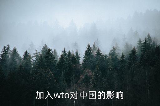 加入wto對中國的影響