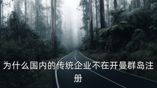 為什么國內(nèi)的傳統(tǒng)企業(yè)不在開曼群島注冊