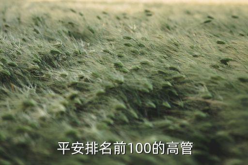  平安排名前100的高管